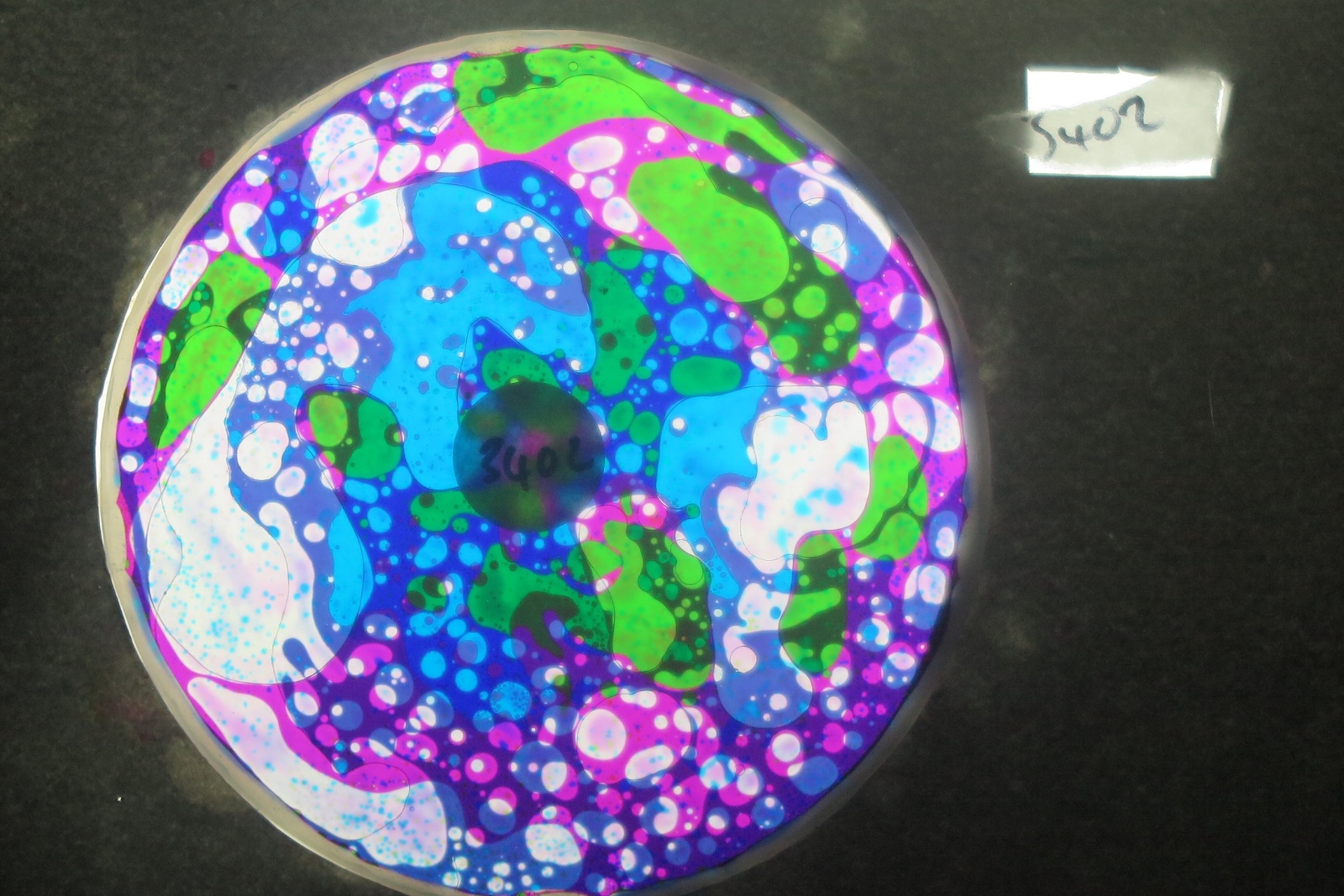 BV3402 bubble vision oil wheel